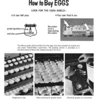 How to Buy Eggs 2.jpg