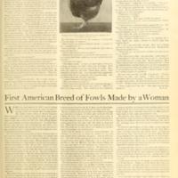 The Universal Chicken Feed.jpg
