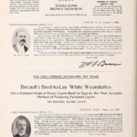 Bricaults Bred to Lay White Wyandottes.jpg