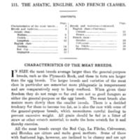 AsiaticEnglishandFrenchClasses2.jpg