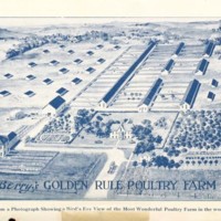 Berrys Golden Rule Poultry Farm.jpg