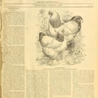 The Farm-Poultry Volume 7 Number 1.jpg