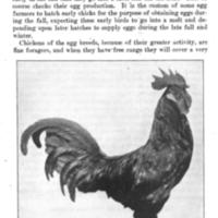 TheMediterraneanandContinentalClasses3.jpg