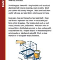 Biosecurity Guide for Poultry and Bird Owners 5.JPG