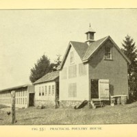 Poultry Architecture Illustration.jpg