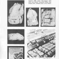 Poultry Buying Guides for Consumers Illustration 1.jpg