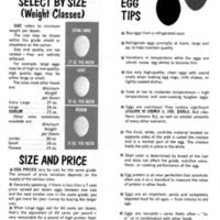 How to Buy Eggs 4.jpg