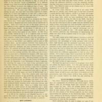 The Leghorns Introductory 3.jpg