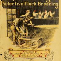 Profitable Culling and Selective Flock Breeding.jpg