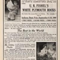 American Poultry World Volume 1 Number 1 b.jpg