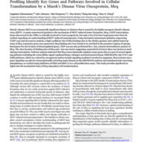 Integrated Analyses of Genome-Wide DNA Occupancy and Expression Profiling Identify Key Genes and Pathways Involved in Cellular Transformation by a Marek’s Disease Virus Oncoprotein Meq.jpg