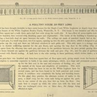 A Poultry House 250 Feet Long.jpg