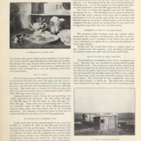 Egg Yielding Capacity of Hens 4.jpg