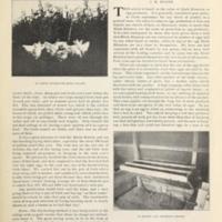 Egg Yielding Capacity of Hens 6.jpg