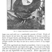 TheMediterraneanandContinentalClasses4.jpg
