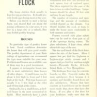 TheHomeChickenFlock1.jpg