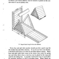 Homemade Poultry Appliances For Poultry Club Members 3.jpg