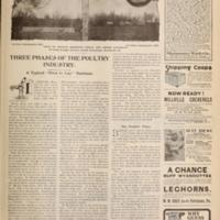 Three Phases of the Poultry Industry Page 1.jpg