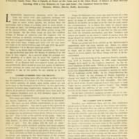 The Leghorns Introductory.jpg