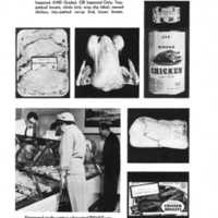 Poultry Buying Guides for Consumers Illustration 2.jpg