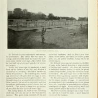Bricault Cyphers Profile.jpg