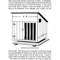 Homemade Poultry Appliances For Poultry Club Members 4.jpg