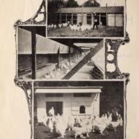 PoultryHousesandFixtures2.jpg