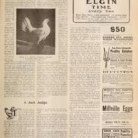 Farm Poultry A Just Judge Page 1.jpg