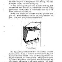 Homemade Poultry Appliances For Poultry Club Members 5.jpg