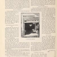 Egg Yielding Capacity of Hens 3.jpg