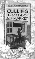 Culling for Eggs and Market.jpg