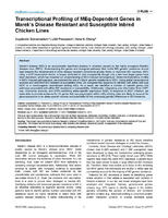 Transcriptional Profiling of MEq-Dependent Genes in Marek’s Disease Resistant and Susceptible Inbred Chicken Lines.jpg
