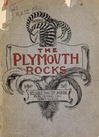 The Plymouth Rocks.jpg