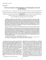 Parvovirus-Associated Cerebellar Hypoplasia and Hydrocephalus in Day Old Broiler Chickens.jpg