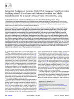 Integrated Analyses of Genome-Wide DNA Occupancy and Expression Profiling Identify Key Genes and Pathways Involved in Cellular Transformation by a Marek’s Disease Virus Oncoprotein Meq.jpg