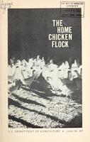 TheHomeChickenFlock.jpg