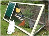 Marky the Dog and The Girls in their Chicken Tractor