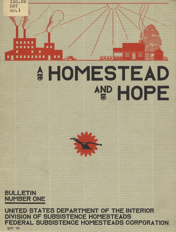 A Homestead and Hope Cover.jpg