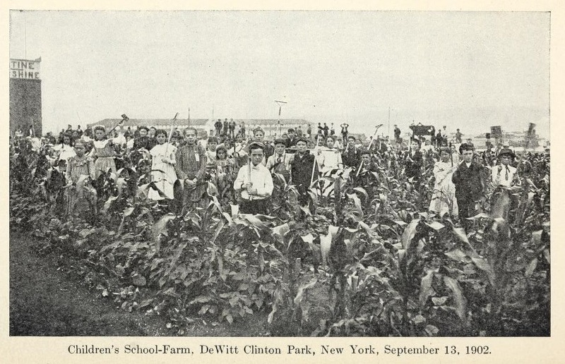 ChildrensSchoolFarmDeWittClintonPark.jpg