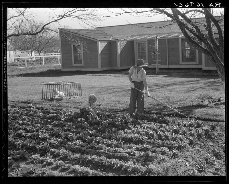 El Monte Federal subsistence homesteads.jpg