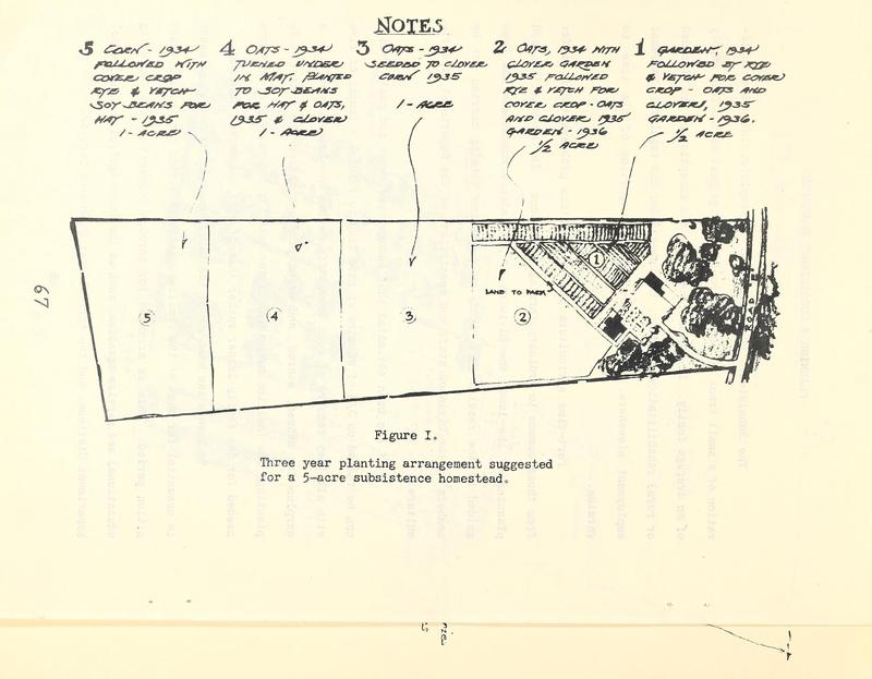 Three year planting arrangement.jpg Three year planting arrangement.jpg
