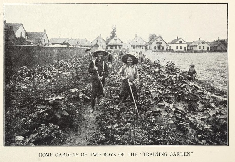 Among School Gardens 2.jpg