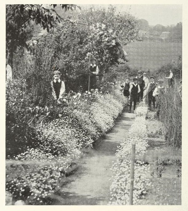countryschoolgarden.jpg