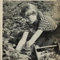 Farm Work for City Youth 4.jpg