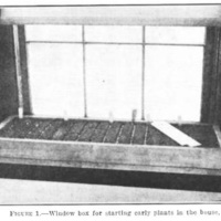 window box for early plants.jpg