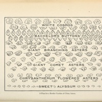 The School Garden Book plan.jpg