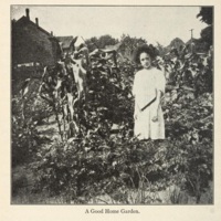 The School Garden Book girl.jpg