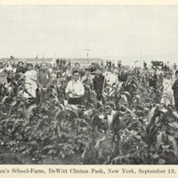 ChildrensSchoolFarmDeWittClintonPark.jpg
