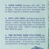 Youth Learns and Earns While Helping on Farms With the Victory Farm Volunteers 2.jpg