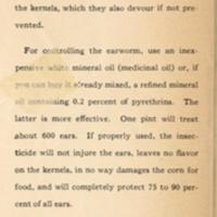 Victory Gardeners Can Prevent Ear-Worms From Entering Their Corn 2.jpg